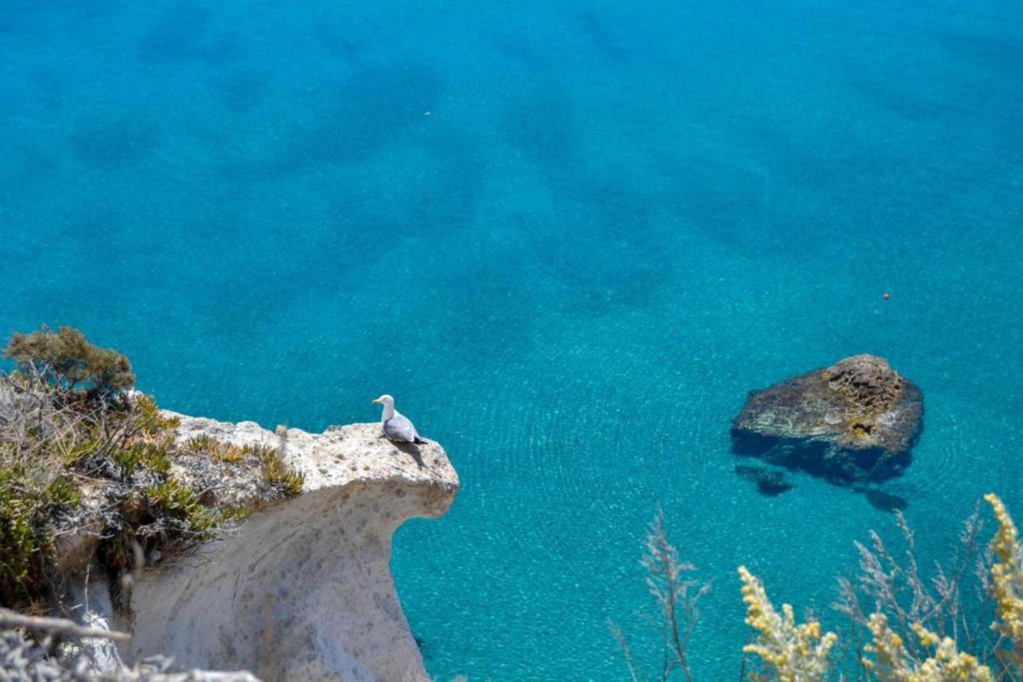 Maridea - Cave Apartments Ponza Exterior photo